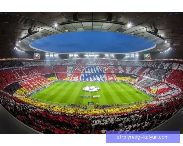 诺维奇卡罗路球场迎来翻新计划，期待提升观赛体验与设施质量