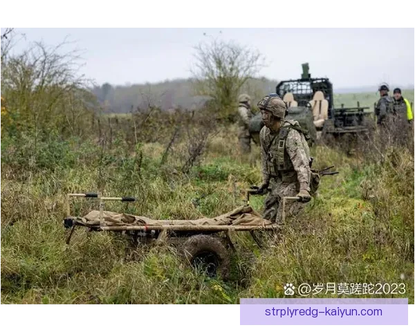 尼斯进攻套路的持续提升引发关注，展现出球队的战术灵活性与攻击力。
