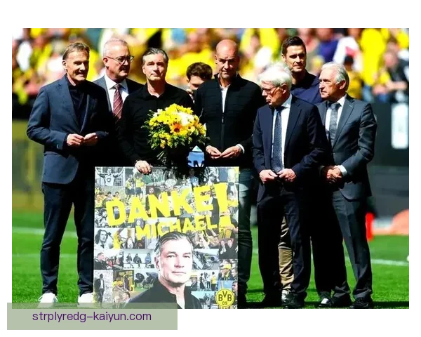 德甲多队主力阵容大换血，新赛季竞争格局生变